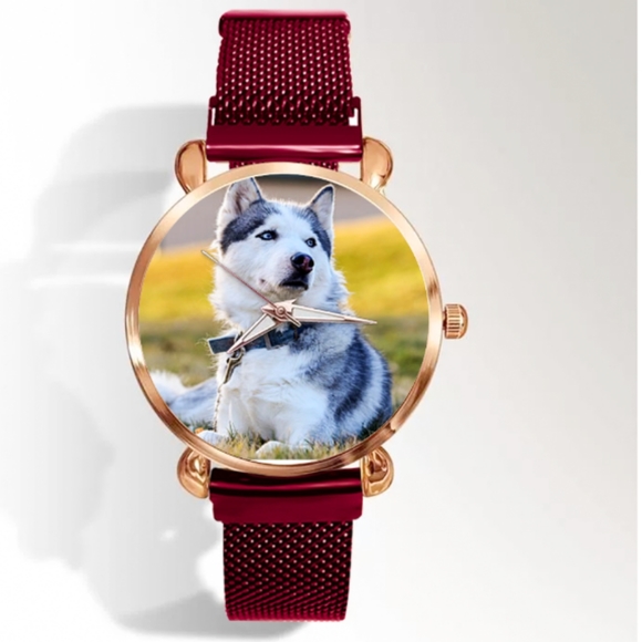 Canadian Eskimo Dog Watch - Picture 7 of 7